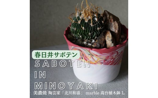 春日井市 母の日父の日特集
