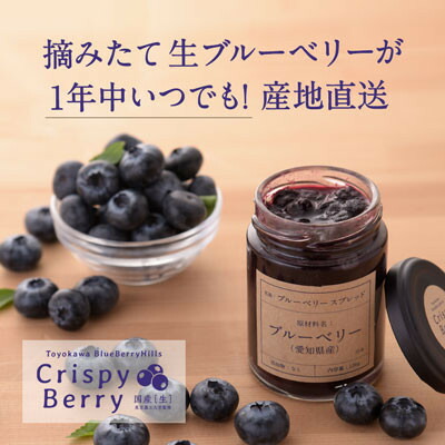 【ふるさと納税】【愛知県産】クリスピーベリーセット　生ブルーベリー×2パック ブルーベリースプレッド×1個【配送不可地域：離島】【1332571】