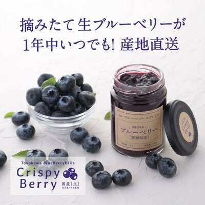 【ふるさと納税】【愛知県産】クリスピーベリーセット　生ブルーベリー×1パック ブルーベリースプレッド×2個【配送不可地域：離島】【1334619】