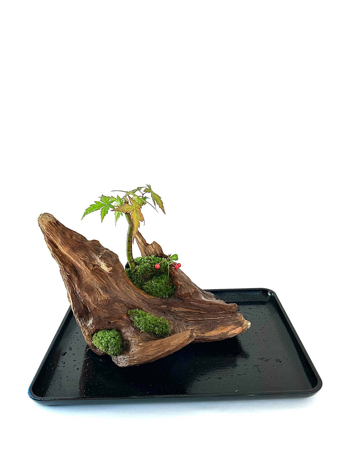 【ふるさと納税】盆景流木風景画 | 手作り 一点物 飾り気のない 室内装飾 苔 こけ 癒し