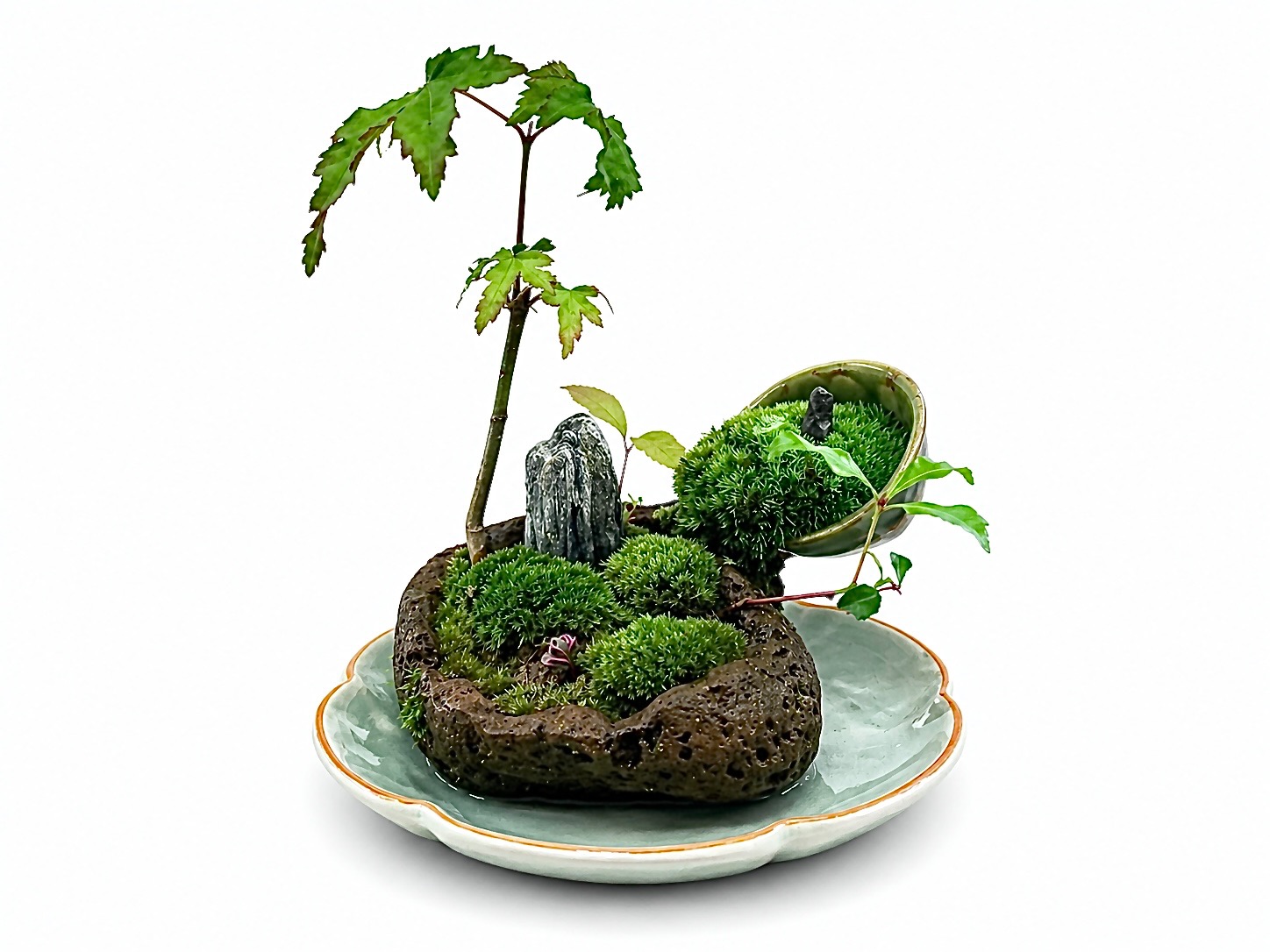 【ふるさと納税】自社作りだすの草木山野草と苔のミニ運動場 | 苔盆景テラリウム こけ 室内装飾 細密画 溶岩石 受け皿付き添い人 おまかせ