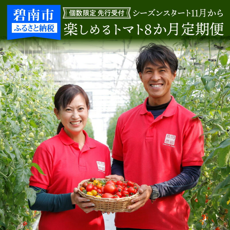 個数限定 先行受付 シーズンスタート 11月から楽しめる トマト 8か月 定期便 長田農園 ジュエリートマト トマトベリー フルーツトマト トマトジュース 新たまねぎ セット 産地直送 愛知県 碧南市 送料無料