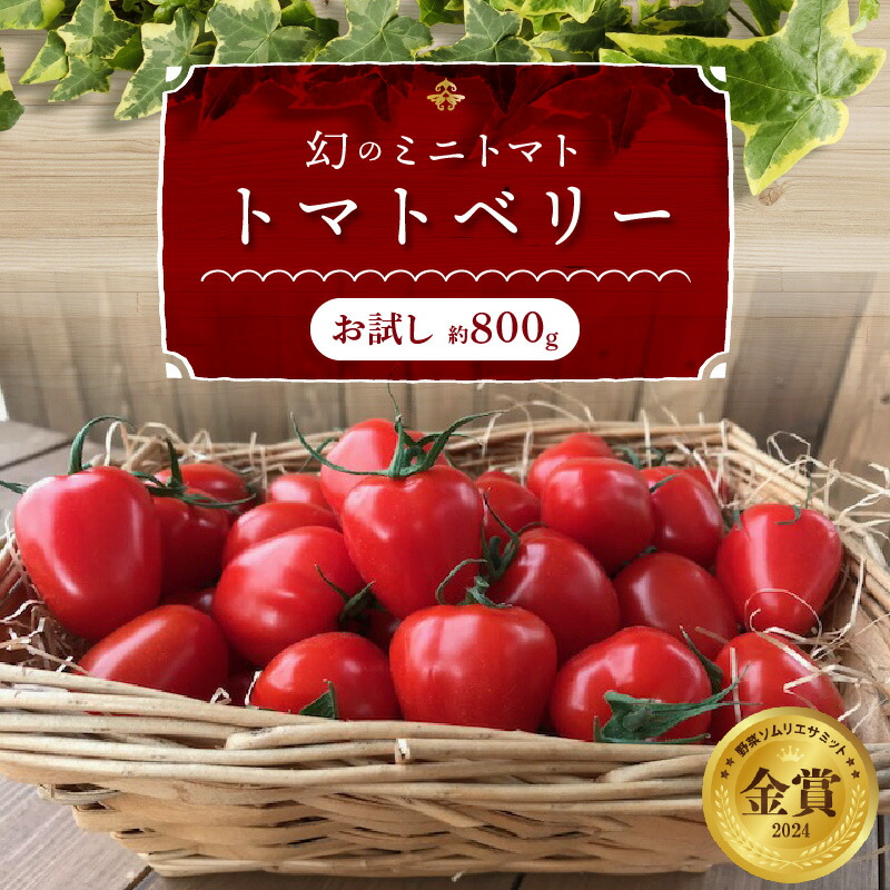 【ふるさと納税】高評価☆4.72 ミニトマト 約 800g お試し 幻 トマトベリー フルーツミニトマト 甘い いちご型 野菜ソムリエサミット 金賞 受賞 薄皮 食べやすい 完全木熟栽培 リコピン お取り寄せ グルメ 野菜 産地直送 長田農園 ランキング急上昇 愛知県 碧南市 送料無料