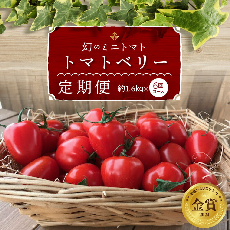 【ふるさと納税】 1月～6月 毎月発送 幻のミニトマト トマトベリーの定期便 6回コース ミニトマト 定期便 トマト 野菜ソムリエサミット 金賞 受賞 長田農園 産地直送 愛知県 碧南市 送料無料