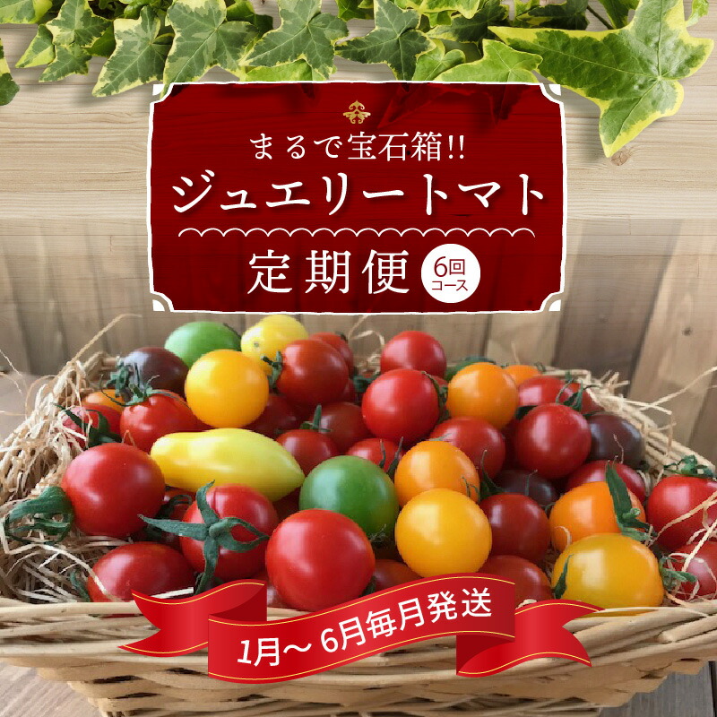【ふるさと納税】定期便 6回コース 1月～6月 毎月発送 まるでトマトの宝石箱！ジュエリー トマト愛知県 碧南市 送料無料
