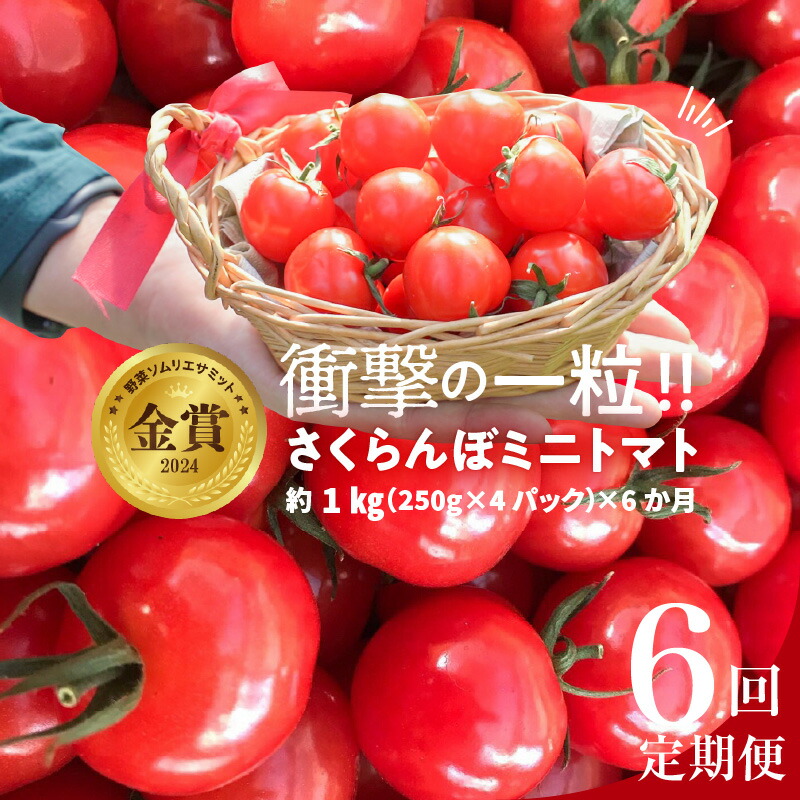 【ふるさと納税】予約受付 個数限定 新食感 トマト さくらんぼトマト ミニトマト ぷちぷよ 約1kg 定期便 6回 野菜ソムリエサミット 金賞 受賞 産地直送 野菜 フルーツ サラダ 濃厚 ツヤツヤ ぷにぷに やわらかい 希少 塩農法 リコピン 長田農園 愛知県 碧南市 送料無料