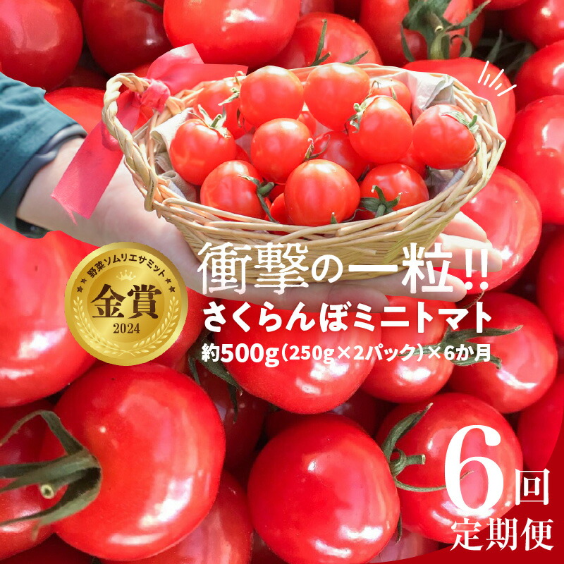 【ふるさと納税】 トマト 個数限定 新食感 さくらんぼ ミニトマト ぷちぷよ 定期便 約500g 6回 野菜ソムリエサミット 金賞 受賞 産地直送 国産とまと 野菜 濃厚  人気 衝撃の一粒 ツヤツヤ ぷにぷに やわらかい 希少 長田農園 お取り寄せ 碧南産 愛知県 碧南市 送料無料