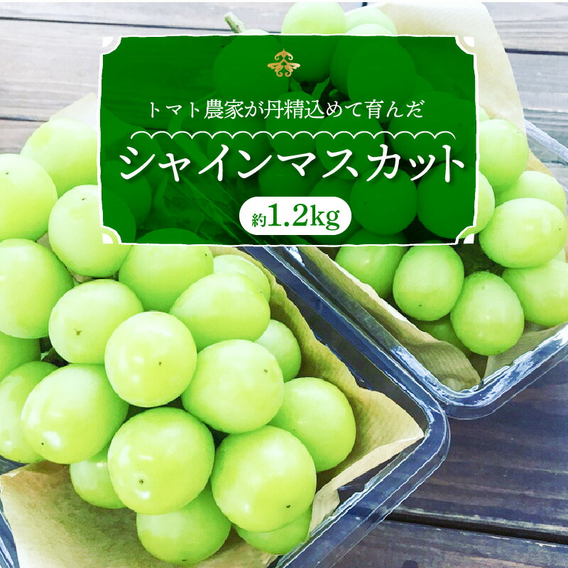 【ふるさと納税】【先行予約】 数量限定 高評価☆4.9 甘い 新鮮 シャインマスカット 約 1.2kg × 2房 果物 夏 フルーツ お取り寄せ お取り寄せフルーツ マスカット ぶどう 国産 おやつ デザート トマト農家 季節 旬 体験 長田農園 愛知県 碧南市 冷蔵 送料無料