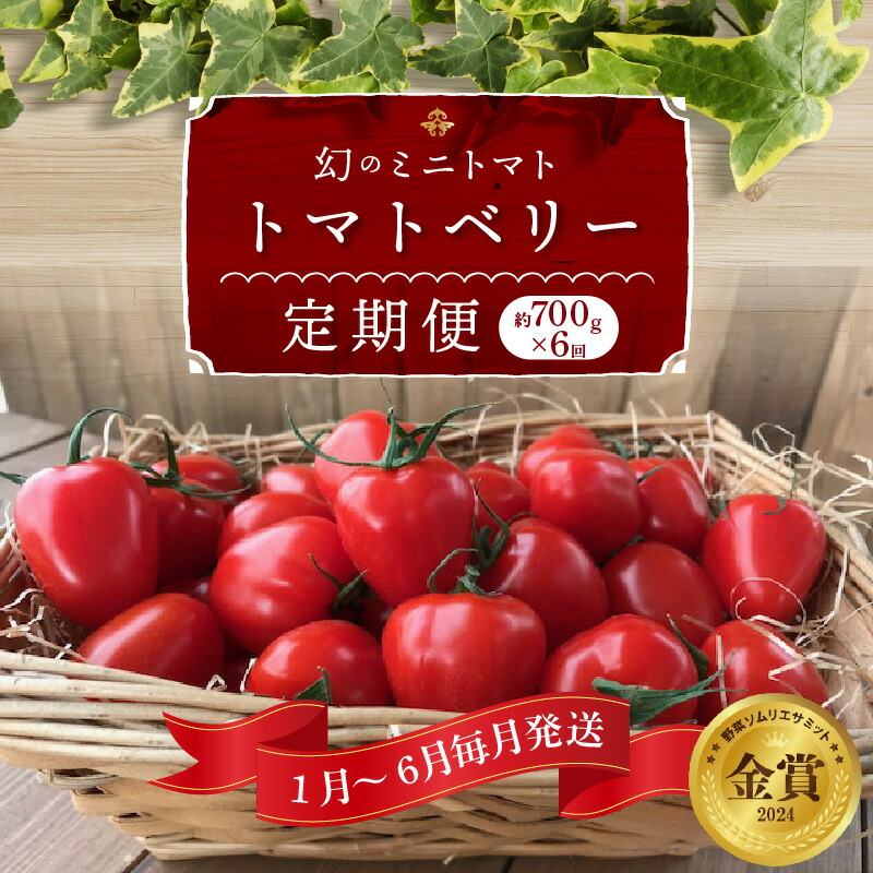 【ふるさと納税】1月 ～ 6月 毎月発送 幻のミニトマト トマトベリー 定期便 約 700g × 6回 野菜ソムリエサミット 金賞 受賞  野菜 トマト ミニトマト フルーツミニトマト 肉厚 甘い 食べやすい 愛知県 碧南市 長田農園 お取り寄せ お取り寄せグルメ 送料無料