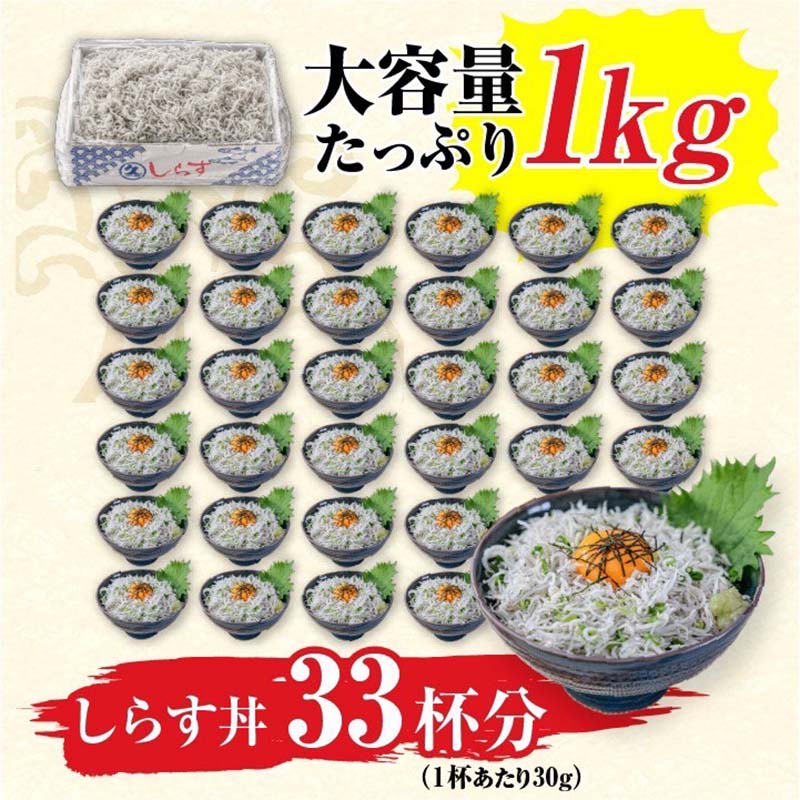 市場 ふるさと納税 三河しらす1kg しらす干し 限定 しらす