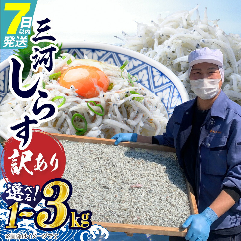 【楽天市場】【ふるさと納税】訳あり しらす干し 選べる 容量 1kg 2kg 3kg 国産 三河しらす 釜茹で 国産 新鮮 しらす サイズ 不揃い 混ざりしらす 塩分控えめ ごはんのお供 しらす丼 しらすトースト 冷凍 海産物 お取り寄せ グルメ 愛知県 碧南市 送料無料:愛知県碧南市