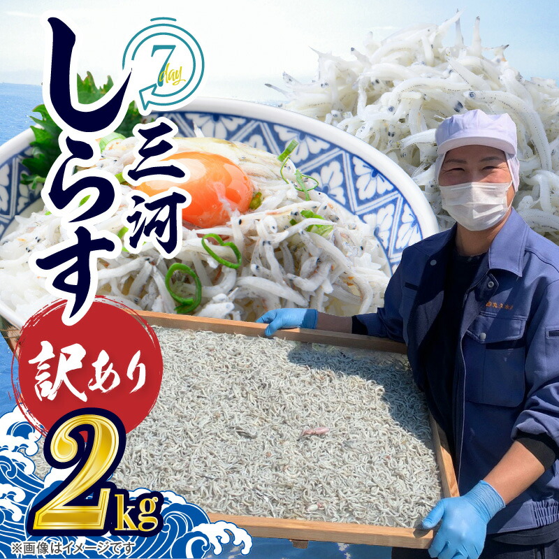 【ふるさと納税】高評価☆4.81 訳あり しらす干し 三河しらす 国産 1kg × 2 計 2kg 新鮮 しらす 釜茹で うま味 濃縮 塩分 控えめ まろやかな味わい やみつき ご飯のお供 おつまみ 酒の肴 しらす丼 サラダ 魚 海産物 冷凍 お取り寄せ グルメ 食品 愛知県 碧南市 送料無料
