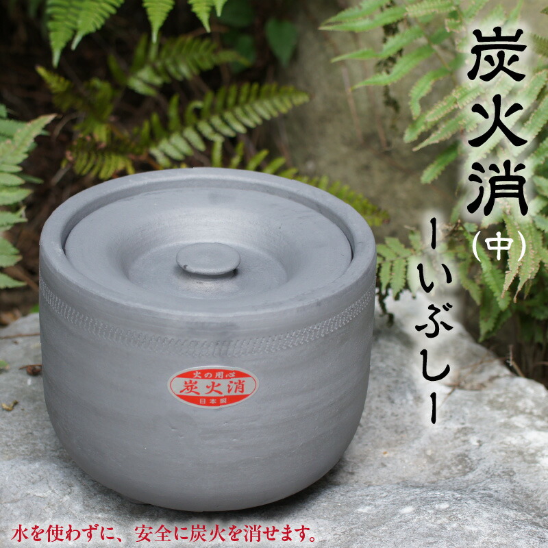 【ふるさと納税】 木ノ実特集