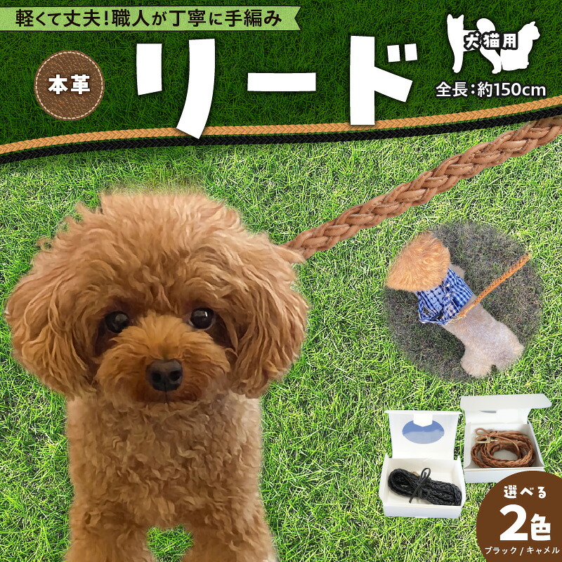 【ふるさと納税】 木ノ実特集