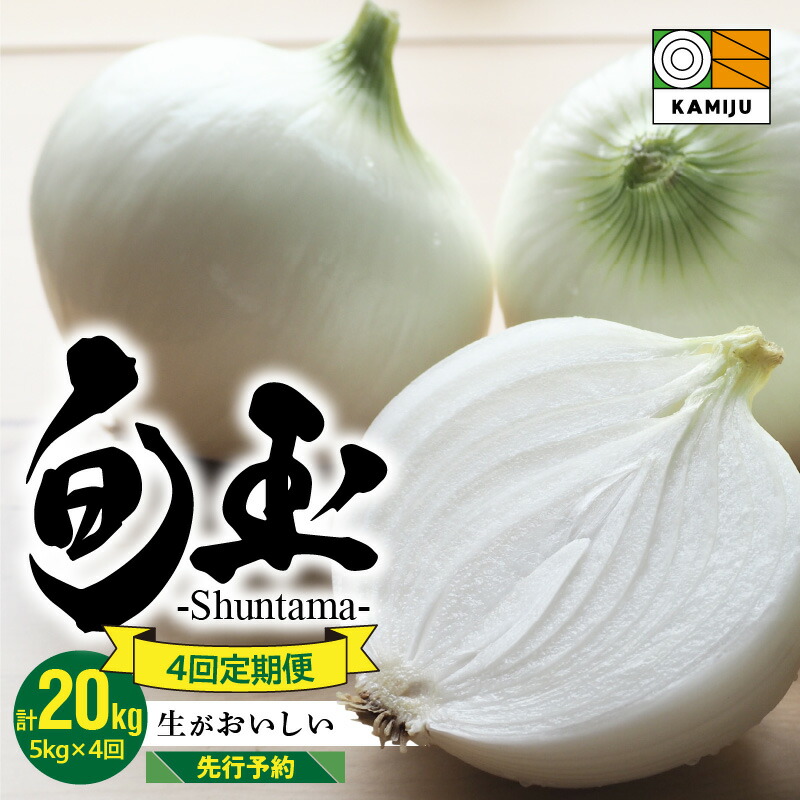 【ふるさと納税】2027年発送 【先行予約】 とにかく甘い 新玉ねぎ 食べ比べ定期便 計 20kg 生がおいしい 神重農産のブランド玉ねぎ 旬玉 玉ねぎ 定期便 5kg &times; 4回 国産 ミネラル オニオンスライス 玉ねぎステーキ オニオンスープ 野菜 お取り寄せ 愛知県 碧南市 送料無料｜愛知県碧南市