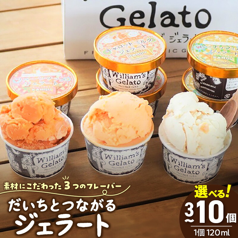 【ふるさと納税】ジェラート アイス 詰め合わせ 120ml 選べる 容量 3個 ~ 10個 マドンナキャロット vegan ミルク ヘルシー 濃厚 ウイリアムズジェラート 神重農産 コラボ ピーナッツミルク からだに優しい お取り寄せ 愛知県 碧南市 送料無料|愛知県碧南市