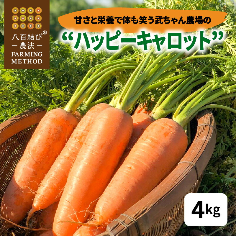 【ふるさと納税】にんじん 甘い 栄養で体も笑う 武ちゃん農場 ハッピーキャロット  4kg 人参  キャロット にんじんジュース 人参ジュース 離乳食 とうもろこし 産地直送 送料無料