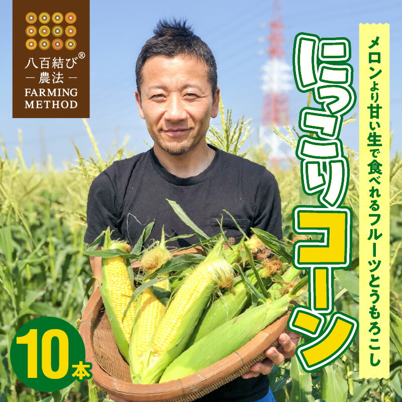 楽天市場】【ふるさと納税】メロンより甘い 甘くて濃厚 2025年 楽天市場】【ふるさと納税】メロンより甘い 甘くて濃厚 2025年