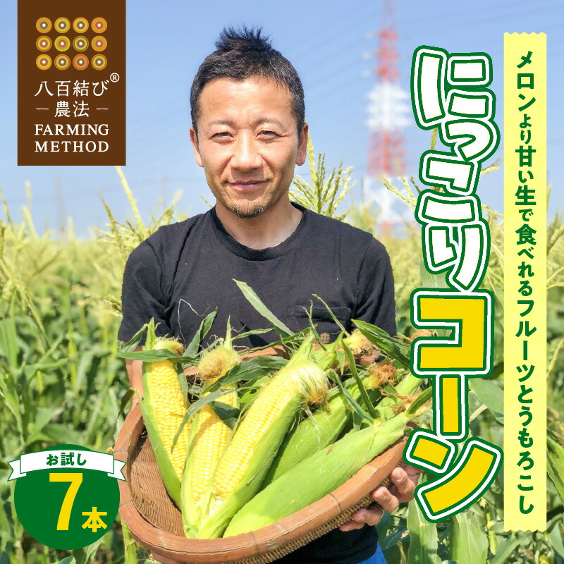 【ふるさと納税】メロンより甘い 甘くて濃厚 2025年発送 とうもろこし お試し 7本  生とうもろこし  コーン 糖度 17度以上 にっこりコーン 味来 サニーショコラ 武ちゃん農場 産地直送 朝獲れ 新鮮 愛知県 碧南市 送料無料