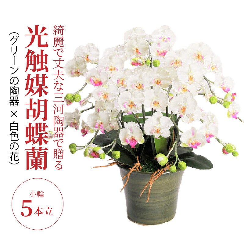 【ふるさと納税】造花 胡蝶蘭 白色 小輪 5本立 三河焼 植木鉢 陶器 グリーン色 三河 消臭効果 光触媒加工 光触媒 インテリア 三河陶器 贈り物 ギフト お祝い 出産 誕生日 お取り寄せ 愛知県 碧南市 送料無料｜愛知県碧南市