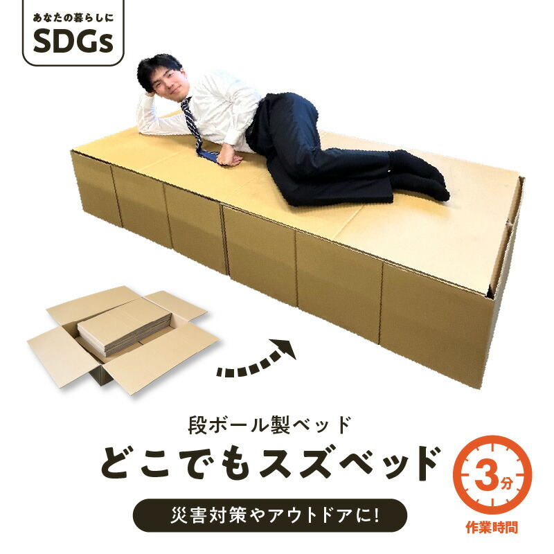 楽天市場】【ふるさと納税】IWATA 人類進化ベッド CB-02 （専用