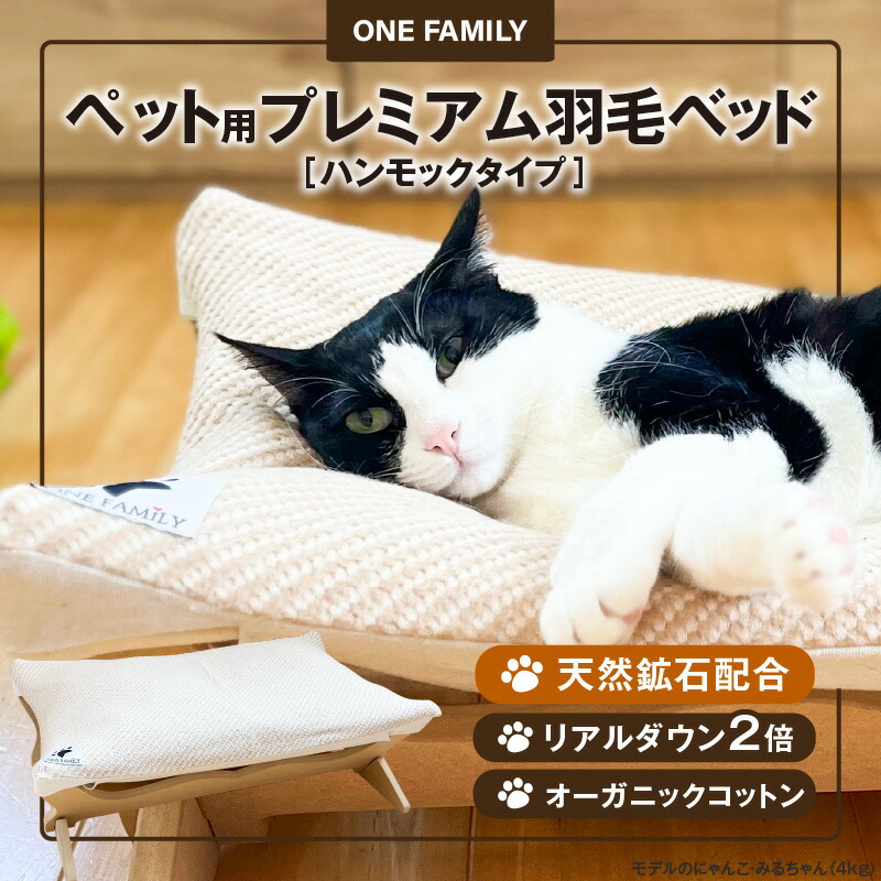 【ふるさと納税】 木の実特集