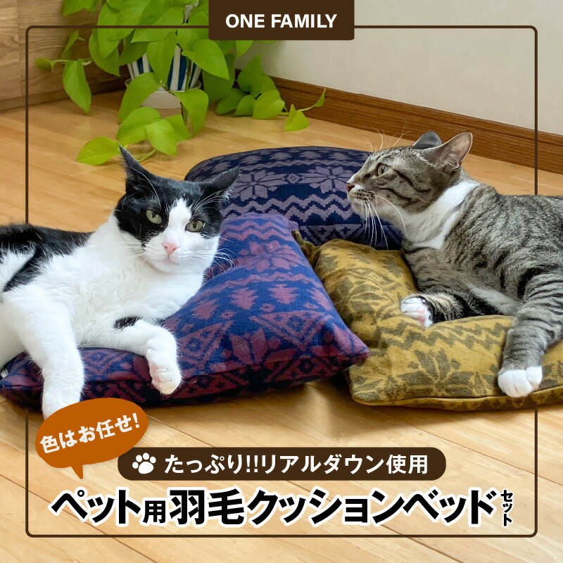 【ふるさと納税】 木ノ実特集