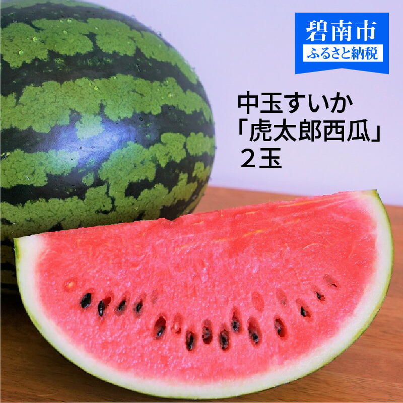 【ふるさと納税】2025年発送 予約 中玉すいか 虎太郎西瓜 ２玉 夏 風物詩 すいか 甘い すいか2玉 スイカ ジューシー 鈴良農園 愛知県 碧南市 送料無料
