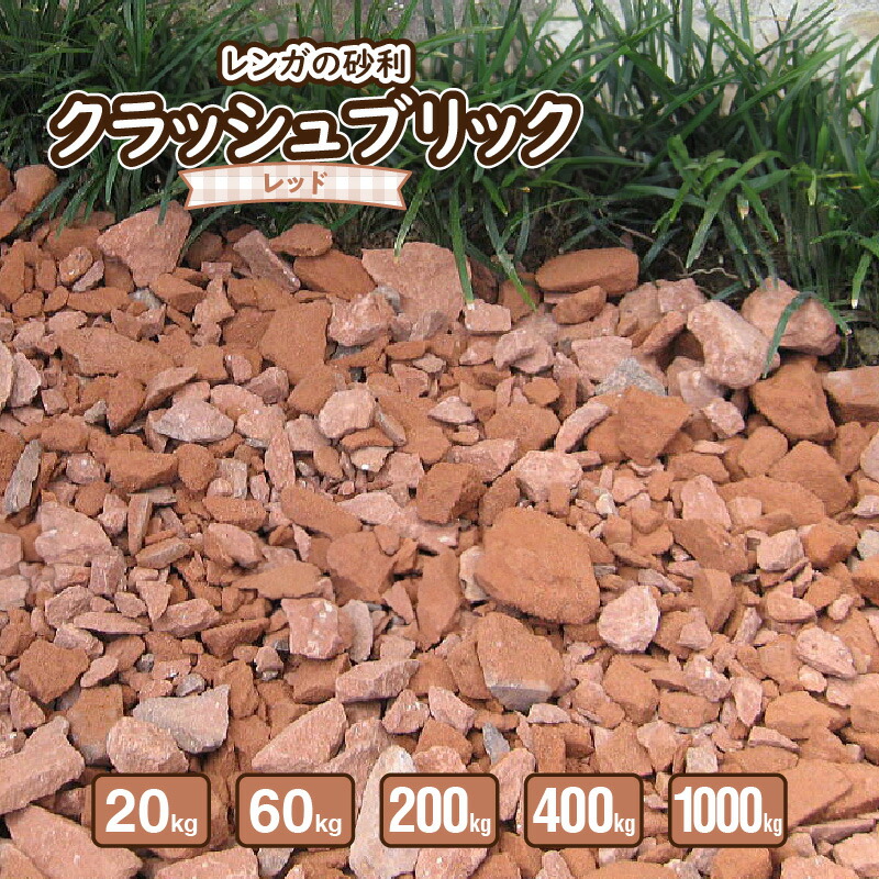 【ふるさと納税】 木ノ実特集