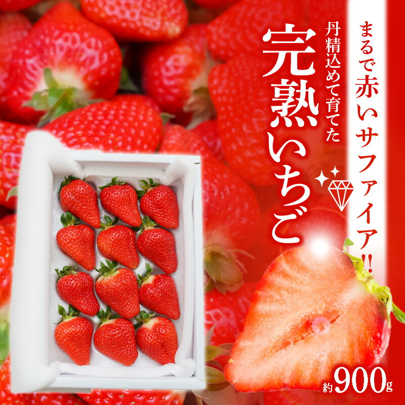 【ふるさと納税】 12月から順次発送 いちご ゆめのか 赤いサファイア  約 900g 贈答 完熟いちご イチゴ 苺 甘い 夢が叶う 久留米55号 系531 O-farm 送料無料 碧南市