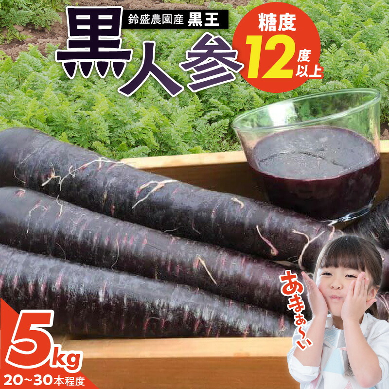 【ふるさと納税】メディア出演多数 期間限定 黒人参 黒王 5kg にんじん 甘い 抗酸化力 塩農法 カラフルにんじん 高糖度 スーパーフード 栄養 生でも食べやすい ブラックキャロット サラダ 華やか 苦みが少ない ジュース 野菜 農作物 鈴盛農園 愛知県 碧南市 送料無料