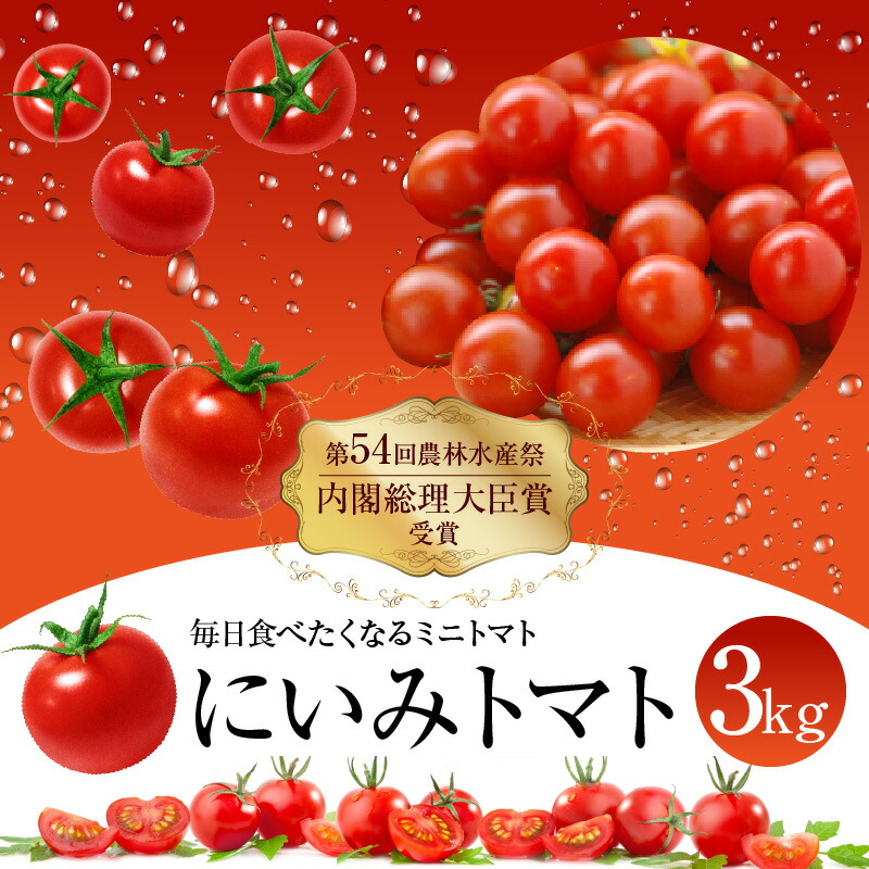 【ふるさと納税】内閣総理大臣賞受賞 毎日食べたくなる ミニトマト3kg 農林水産大臣賞受賞 日本農業賞大賞受賞  お取り寄せ 送料無料
