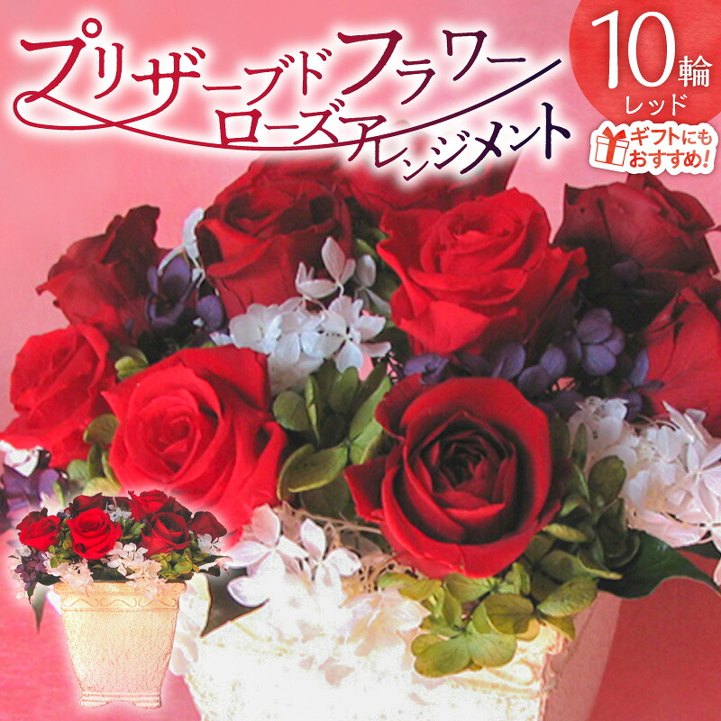 【ふるさと納税】 木ノ実特集