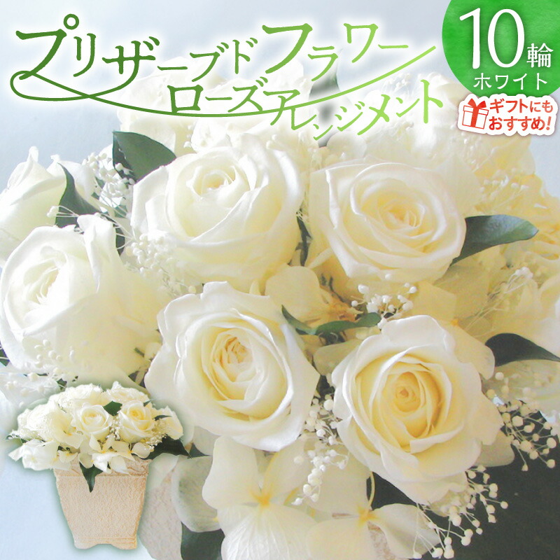 【ふるさと納税】【日付指定可能】 プリザーブドフラワー ローズ 10輪 フラワーアレンジメント ホワイト バラ シンプル スタイリッシュ ギフト用 プレゼント用 ラッピング 産地直送 インテリア お花 フラワー 贈り物 華やか 美しい すぐ飾れる 記念日 愛知県 碧南市 送料無料
