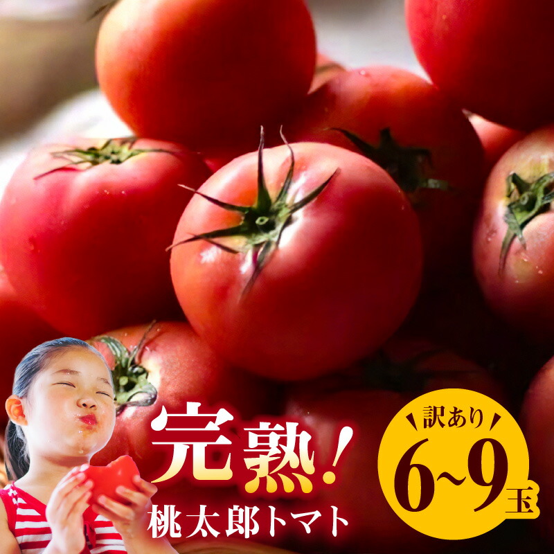 【ふるさと納税】 訳あり 桃太郎トマト 6～9玉 この道40年 農家から 直送 完熟 とまと ご家庭用 B品 皮が薄い 野菜 子供 産地直送 愛知県 碧南市 送料無料