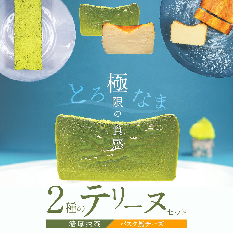 【ふるさと納税】（約２００g）濃厚 抹茶 バスク風 チーズ 2種 テリーヌ セット グルテンフリー 保存料不使用 クリームチーズ サワークリーム スイーツ デザート おやつ 冷凍 国産 専門店 人気 安心 安全 フレンチシェフ 愛知県 碧南市 お取り寄せ お取り寄せスイーツ 13,860円