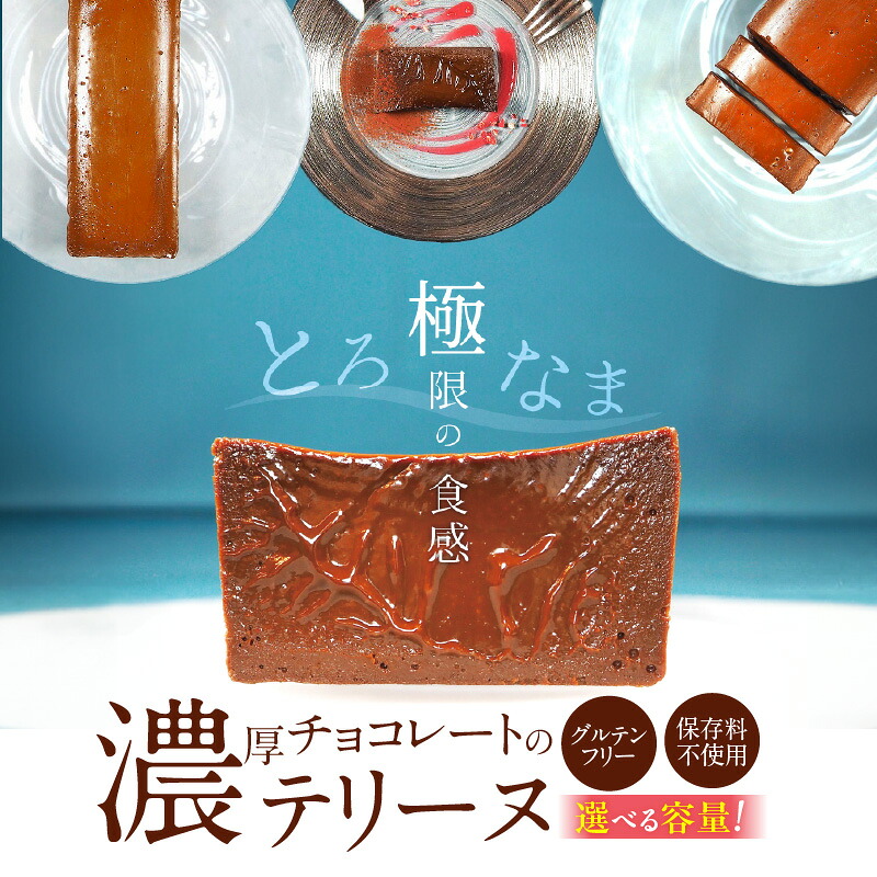 【ふるさと納税】濃厚 チョコレート テリーヌ 選べる 容量 約 200g 600g グルテンフリー 保存料不使用 手づくり 甘すぎない なめらか ショコラ スイーツ デザート ケーキ 専門店 冷凍 お取り寄せ お取り寄せスイーツ 愛知県 碧南市 送料無料|愛知県碧南市