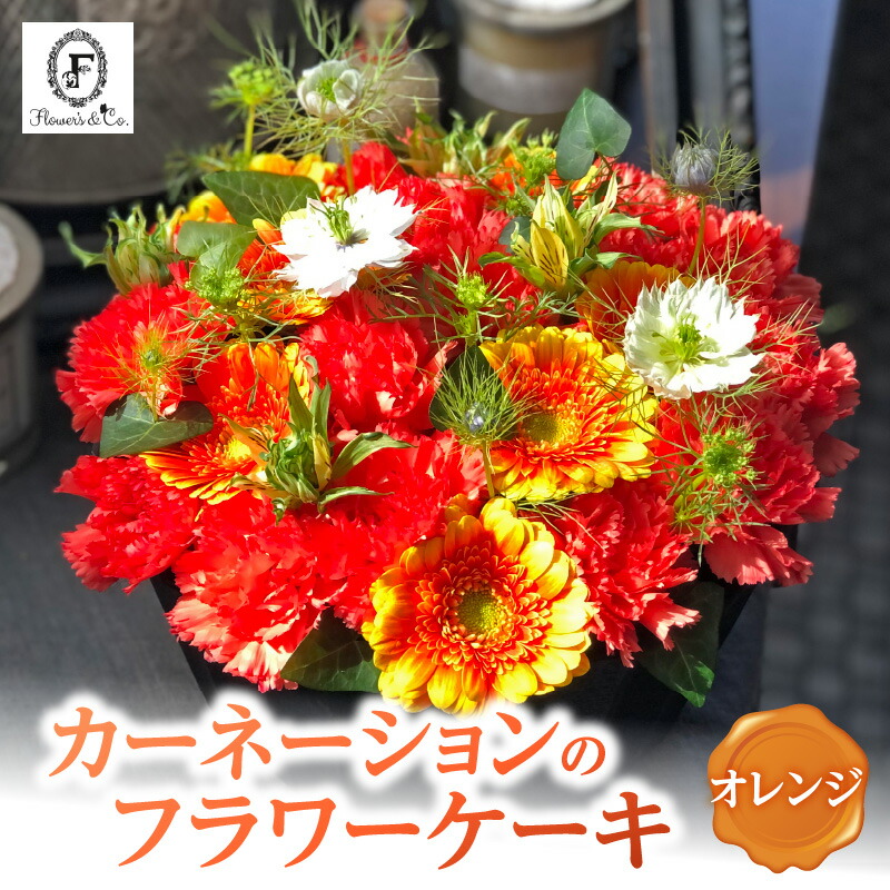 【ふるさと納税】 木ノ実特集