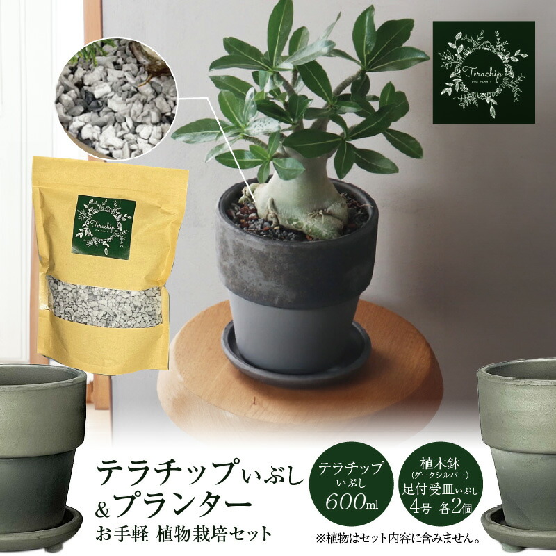【ふるさと納税】 木の実特集