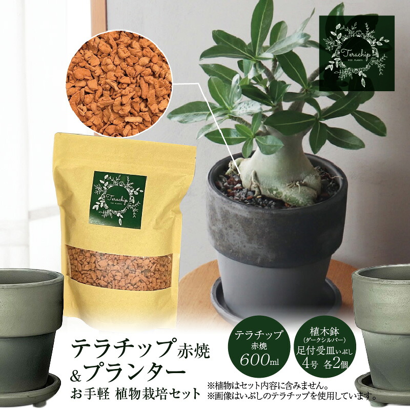 【ふるさと納税】 木の実特集