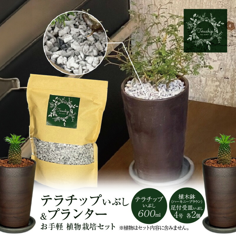 【ふるさと納税】 木の実特集