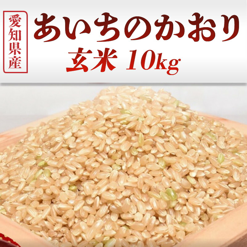 【ふるさと納税】米 愛知県産 あいちのかおり 玄米 10kg 愛知県 碧南市 送料無料