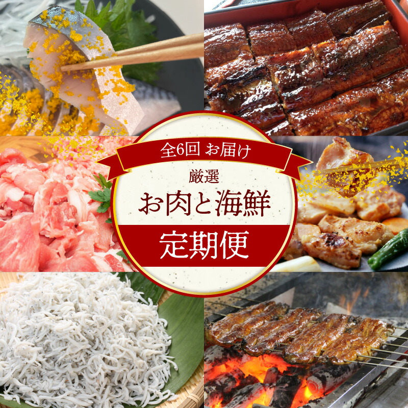 【ふるさと納税】【お試し】お肉 海鮮　定期便 ( 全6回 お届け ) うなぎ 国産 しらす干し 肉 豚肉 豚ミンチ 豚小間切れ 鶏肉 照り焼き 生姜焼き 鰻 しらす 500g しめさば 碧南市 お取り寄せ 送料無料