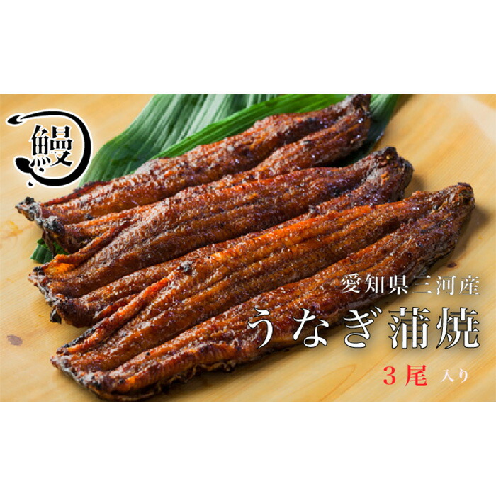 【ふるさと納税】 うなぎの蒲焼3尾 ／ 花心亭 熟練職人 三河一色 高級 鰻 ふっくら 鰻の蒲焼 こだわりのたれ お取り寄せ ごちそう 贈り物 送料無料 愛知県 No.144