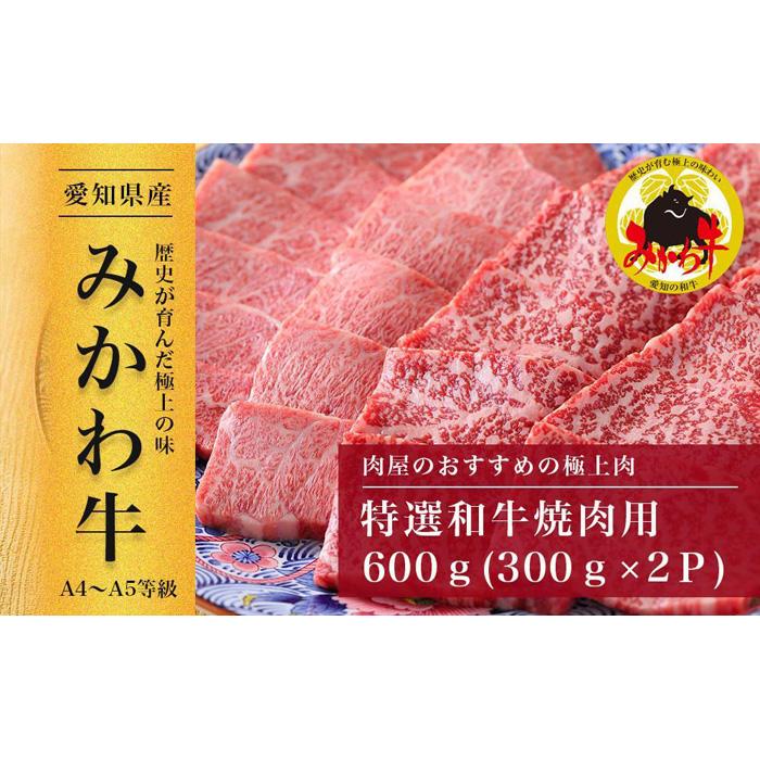 【ふるさと納税】【みかわ牛】特選和牛焼肉用600ｇ