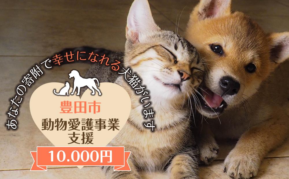 【ふるさと納税】【お礼の品なし】豊田市動物愛護事業 | 愛知県 愛知 豊田市 豊田 ふるさと 納税 返礼品なし 支援品 支援 寄付 応援 寄付のみ 動物愛護 動物 アニマル どうぶつ 動物愛護団体 動物愛護センター 動物愛護寄付 動物愛好家 福祉 動物愛好者 ボランティア