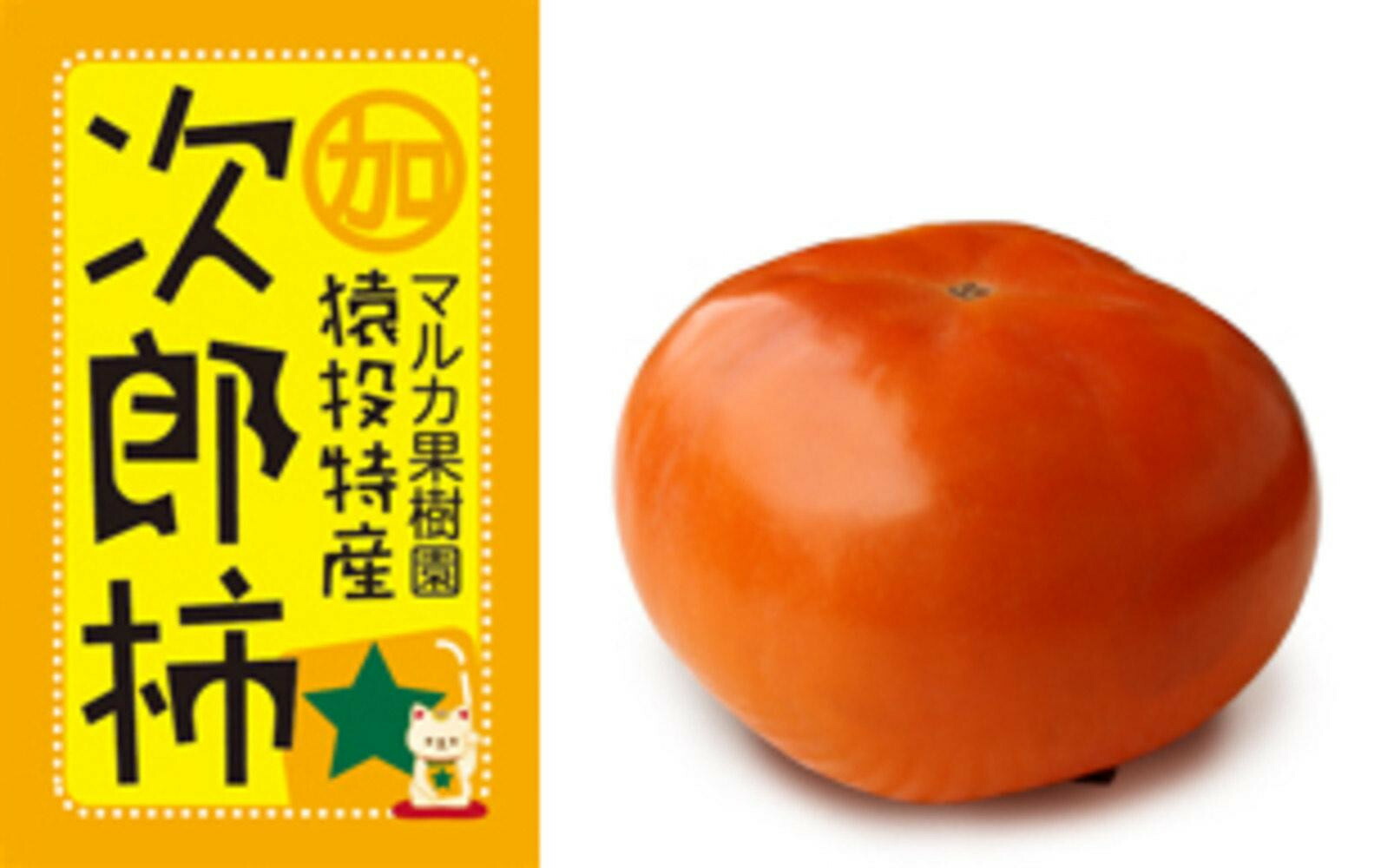 【ふるさと納税】＜先行受付＞次郎柿　約4kg【2025年11月上旬以降順次発送】