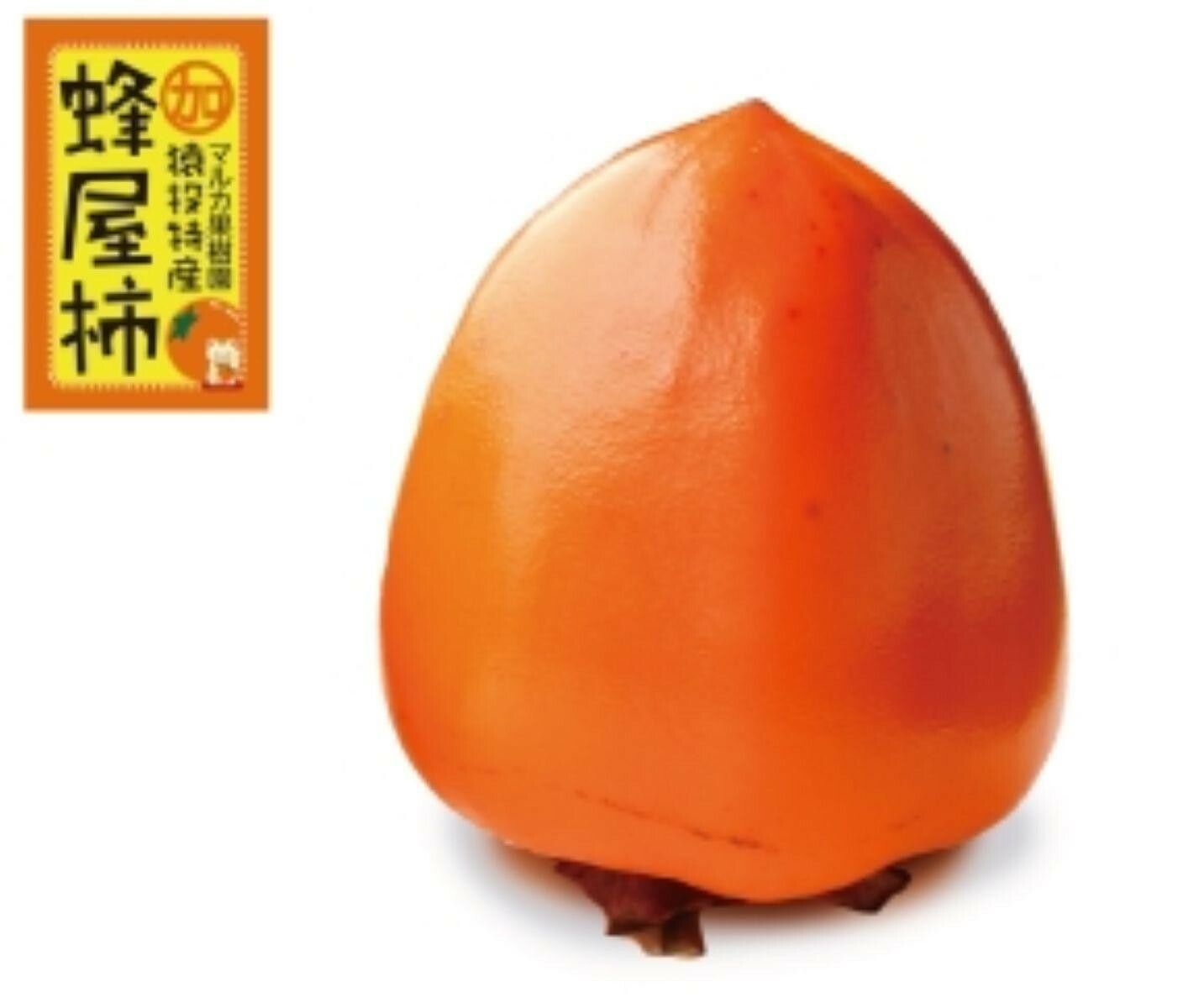 【ふるさと納税】＜先行受付＞蜂屋柿　約6kg 【2025年10月下旬以降順次発送】