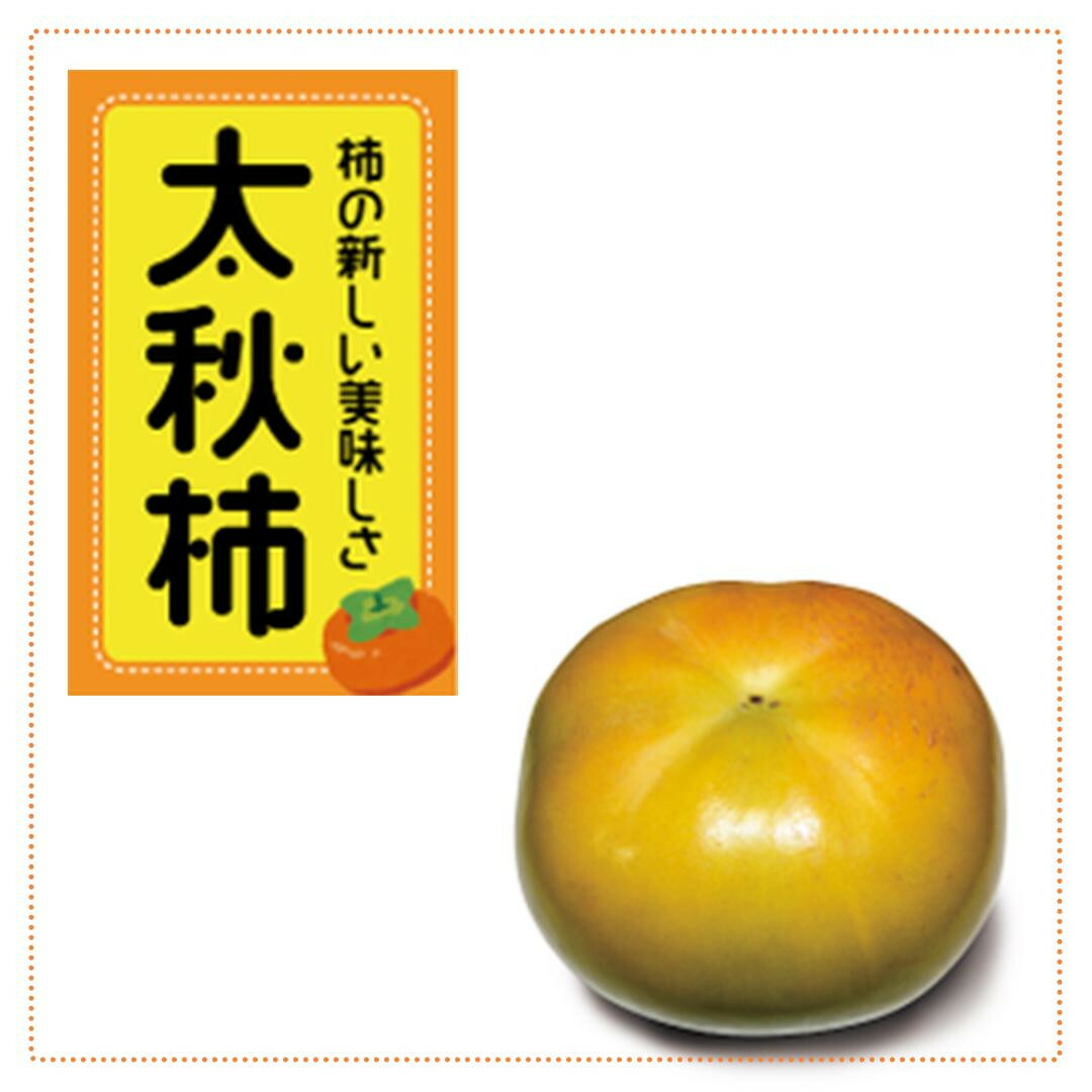 【ふるさと納税】＜先行受付＞太秋柿　約4.5kg【2025年9月下旬以降順次発送】