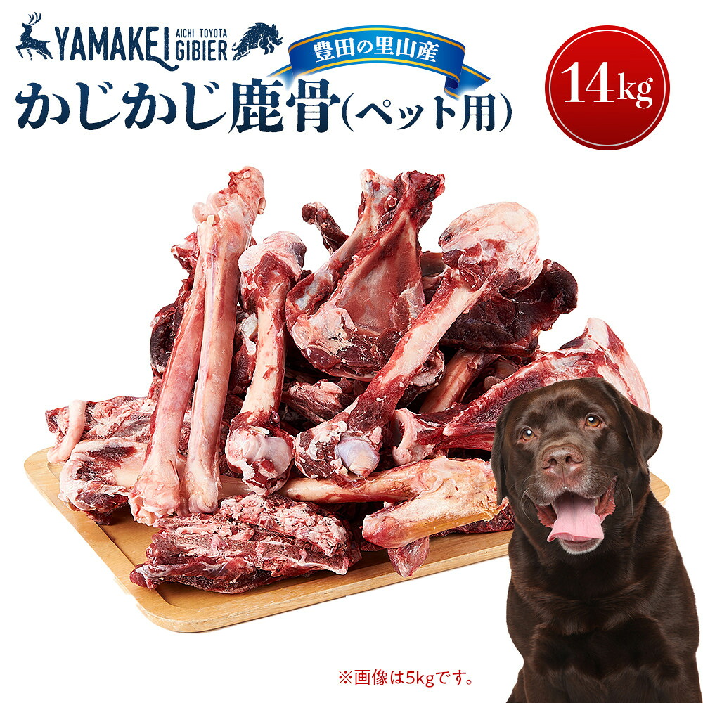 【ふるさと納税】煮込んで吸いもの、かじって歯みがき鹿骨書き割り（鹿骨かじかじ14ｋｇ） | 豊田市 鹿 骨 鹿骨 愛玩動物 ドッグフード お兄ちゃん 産業品 一般受け 貨物輸送無料 おすすめ